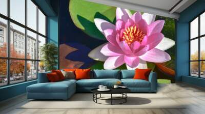 pink water lily Wall mural