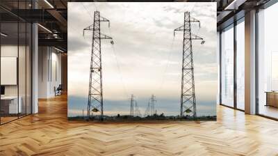 poles of power lines in the field Wall mural