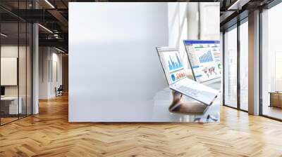 Financial Business Analytics Data Dashboard Wall mural