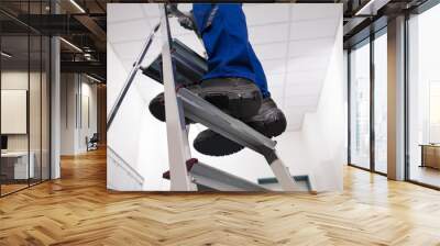 Man Standing On Ladder Wall mural