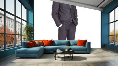 portrait of successful businessman Wall mural