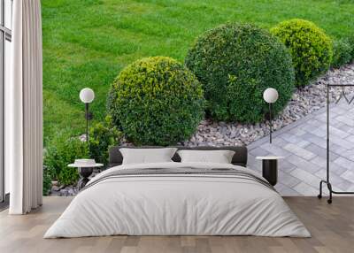 round bushes in landscape design Wall mural