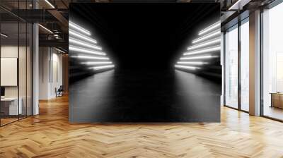 Beautiful composition of white neon lights on a black background. 3d rendering image. Wall mural