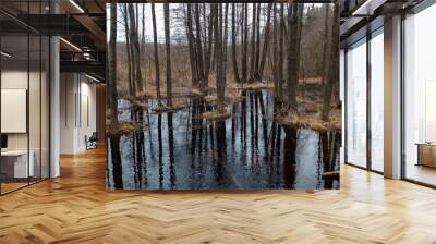 Spring trees standing in the water Wall mural