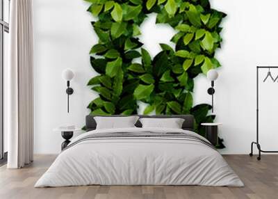 letter leaves r Wall mural