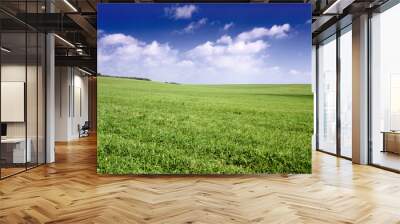 Russia summer landscape - green fileds, the blue sky . Wall mural