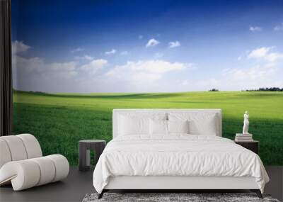 russia summer landscape - green fileds, the blue sky and white c Wall mural