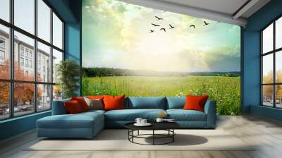 Flying birds over a green field at sunset Wall mural