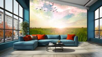 flying birds over a green field at sunset Wall mural