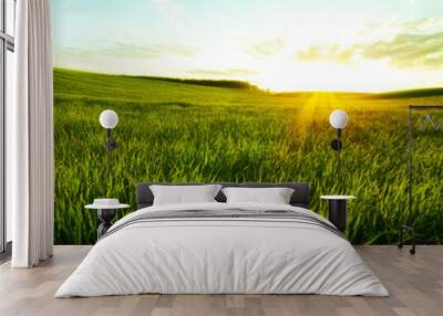 Green meadow under blue sky Wall mural