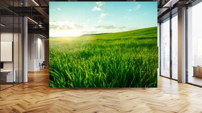 green meadow Wall mural