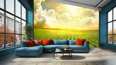 Potato field Wall mural