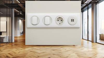 white panel with two switches and a socket and charging ports for USB, light switch in the room, free space Wall mural