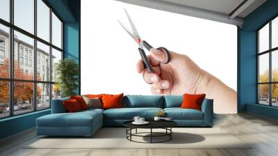 hand holding scissors Wall mural