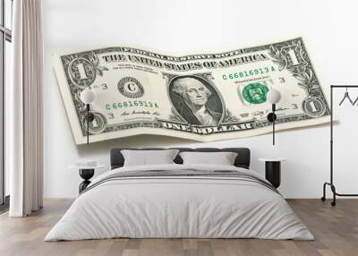 crumpled one dollar Wall mural