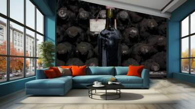 Collection wine Wall mural