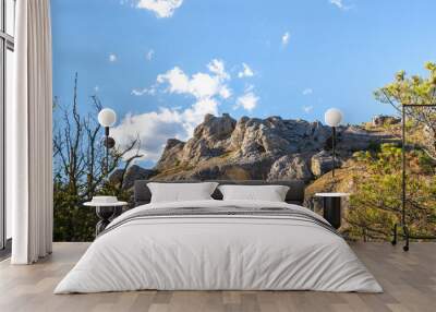 Mountain landscape Wall mural