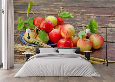 Blue saucer with red yellow apples with green foliage, scattered apples around it and bunch of ears of ripe wheat grains on old wooden plank surface Wall mural