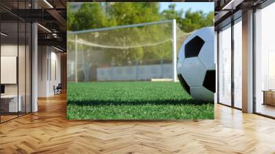 Football on a green field Wall mural