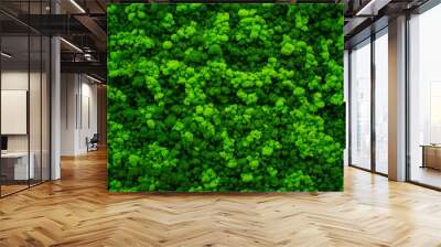 Moss wall, green wall decoration made of natural moss. Wall mural