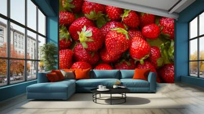 Strawberry. Fresh organic berries . Wall mural