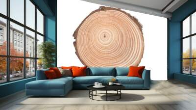 Wooden tree cut surface isolated on white Wall mural