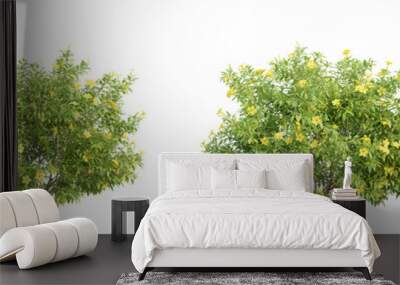 3d illustration of garden plants isolated on transparent background. High resolution for digital composition Wall mural