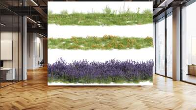 ground covers, meadows, 3d rendering on transparent background Wall mural