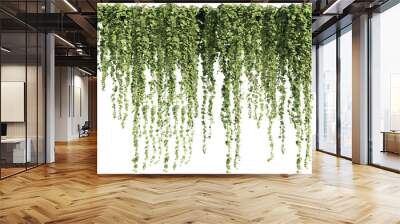 ivy plants isolated on transparent background, 3d rendering	
 Wall mural