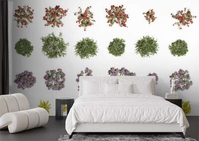 Set of flowers and shrubs, 3D rendering. top view, plan view, for illustration, architecture presentation, visualization, digital composition Wall mural