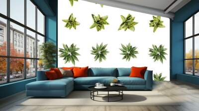 Set of small plants, 3D rendering. top view, plan view, for illustration, architecture presentation, visualization, digital composition Wall mural