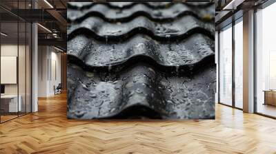 Black Roof Shingles with Rainwater Accumulation Close-Up Wall mural