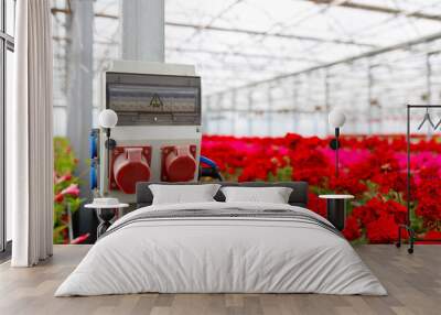 Electrical panel with a socket and circuit breaker in a greenhouse against the background of flowers Wall mural