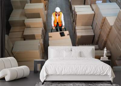 Logistic warehouse worker delivering boxes on a trolley Wall mural