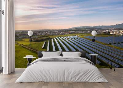 Aerial drone shot of rows of solar panels in lush fields showcase green energy innovation, harmonizing with nature for sustainable electricity under sky. Wall mural