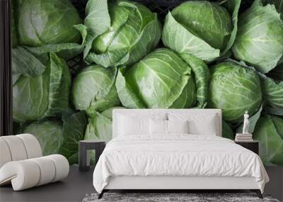 background of ripe early cabbage, top view. green cabbage in the market. Wall mural