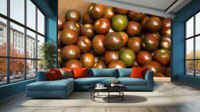 Black prince tomatoes harvest. Many dark green tomatoes Wall mural