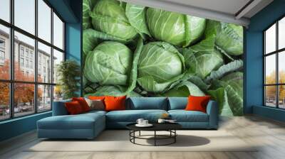 green cabbage for food texture Wall mural