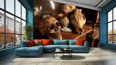 Halloween background Shelves with alchemy tools Skull spiderweb bottle with poison candles Wall mural