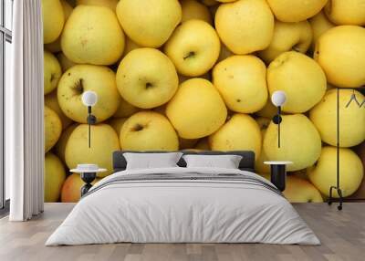 Harvest yellow apples Wall mural