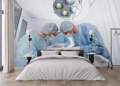 In a modern veterinary clinic, an operation is performed on an animal on the operating table in close-up. Veterinary clinic Wall mural