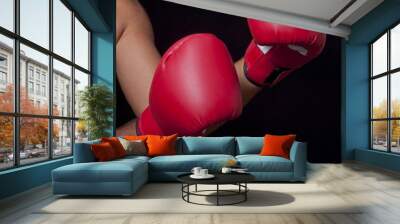 two gloves Wall mural