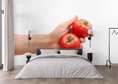 Mans hand holding red tomatoes in hand isolated on white background Wall mural