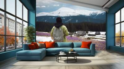 A hiker girl rests on a mountain meadow with blooming saffron. The snowy Carpathians are in the background. Wall mural