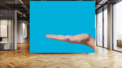 Close-up view stock photography of beautiful manicured outstretched empty flat female hand isolated on blue background  Wall mural