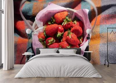 Closeup top view photography of organic fresh sweet juicy red strawberries laying in cute basket with pink napkins isolated on picnic blanket background Wall mural