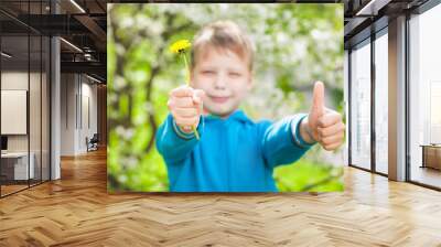 Handsome cheerful 9 years old boy giving two hands with thumbs up into camera as symbol of success. Closeup of fingers with focus at them and blurry face of blonde cute happy kid with great smile. Wall mural