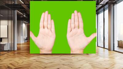 Top view close-up flat lay of beautiful healthy opened empty human female palms raised up isolated on bright  green chroma key background. Horizontal color photography. Wall mural