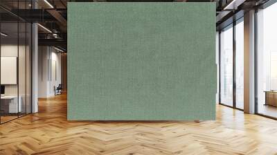 olive nylon ballistic fabric. texture. High resolution Wall mural