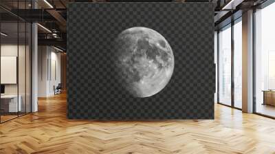 Realistic vector moon on an isolated transparent background. Moon vector png. Dark night with vector real moon. Wall mural